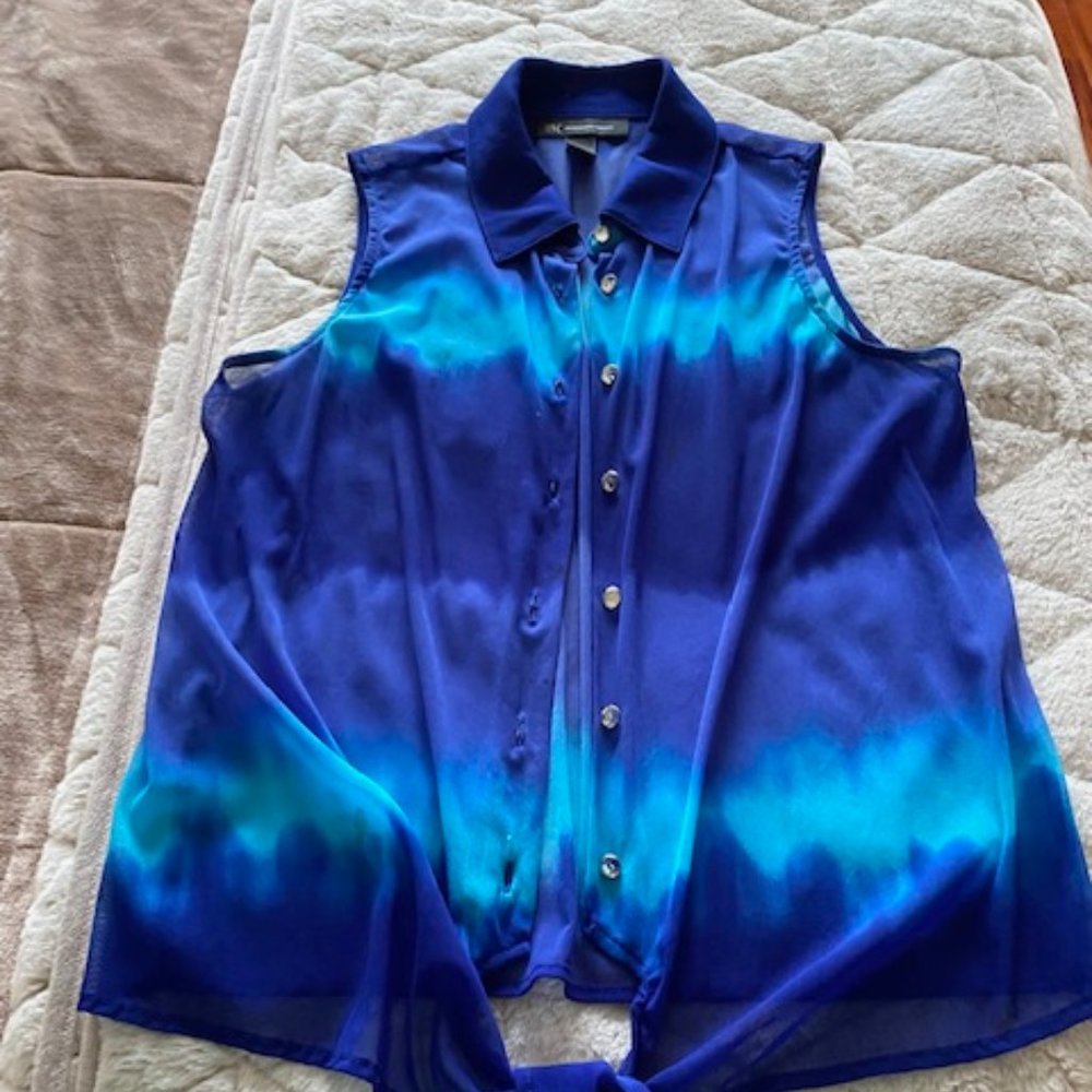 Sheer Button Down Blouse - image 1